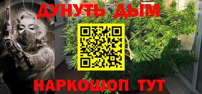 индика Протвино