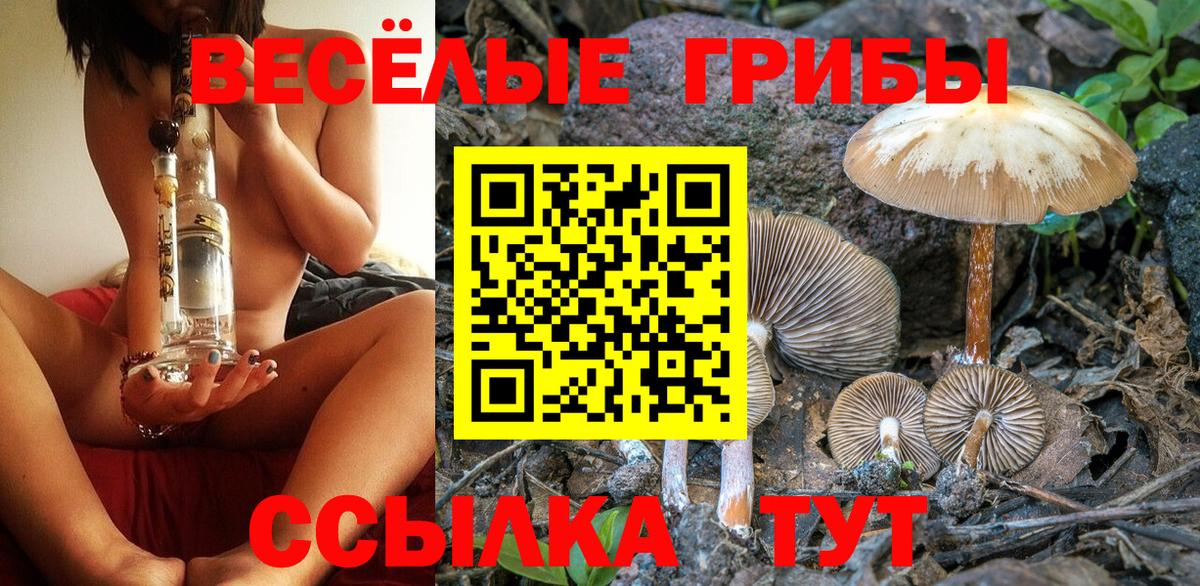Грязи  Псилоцибиновые грибы Psilocybine cubensis  Вход с VPN 
