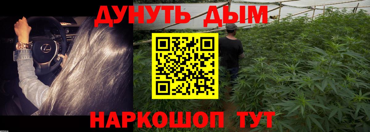 Канабис Bruce Banner Грязи